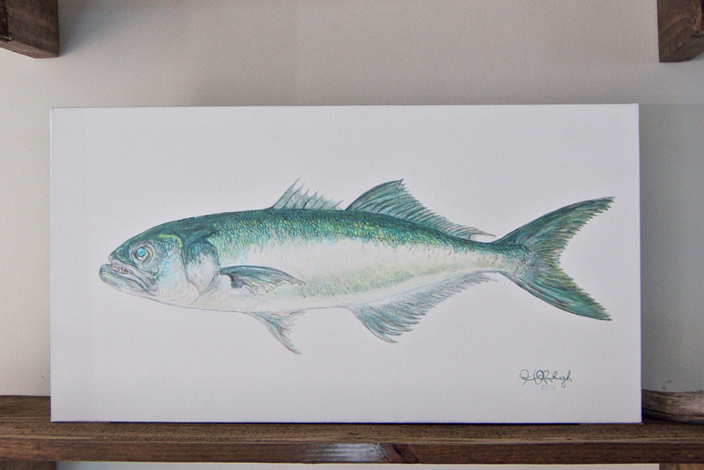 Fish Painting, $400