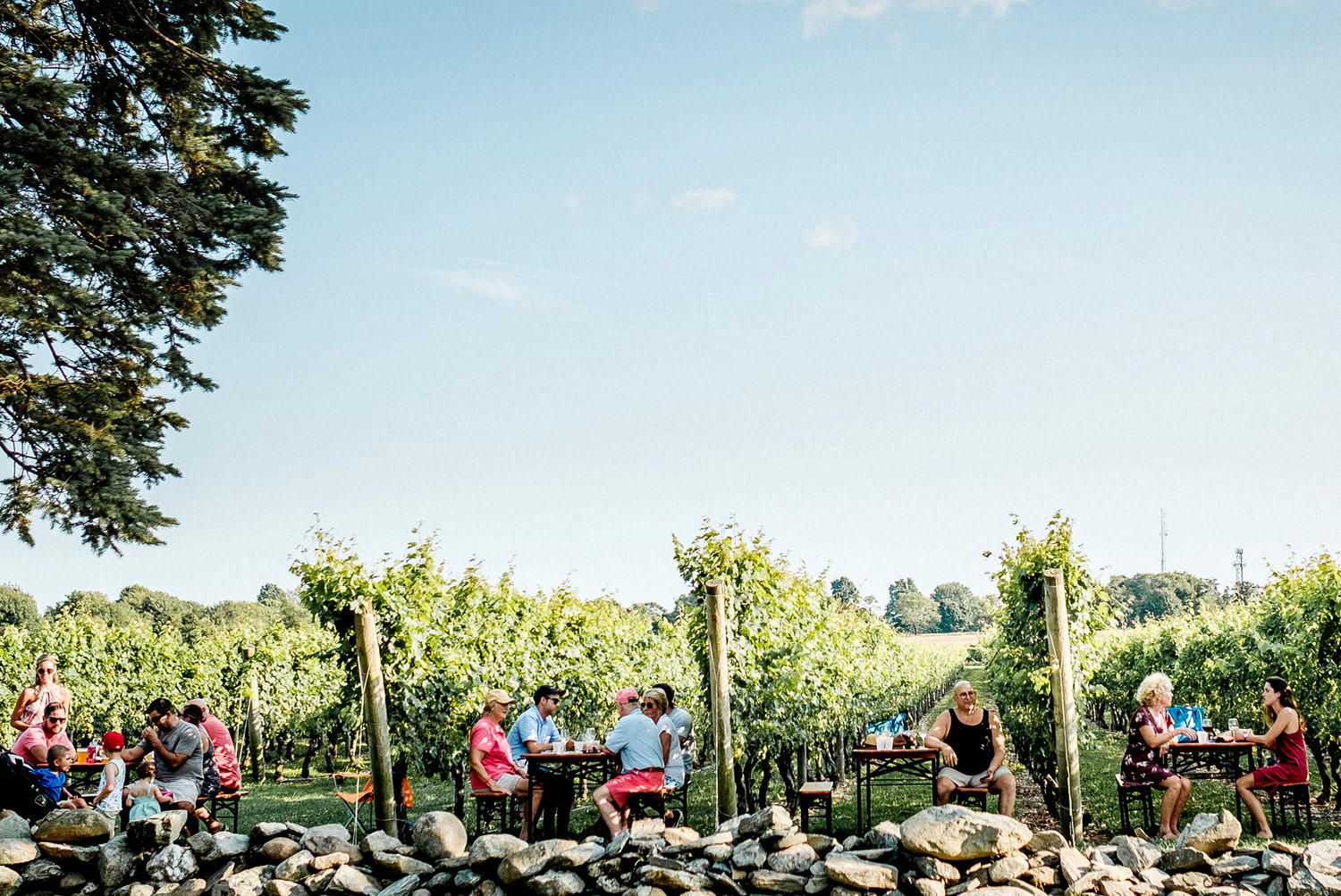 The vastness of this Middletown vineyard makes it easy to sip and savor at a distance