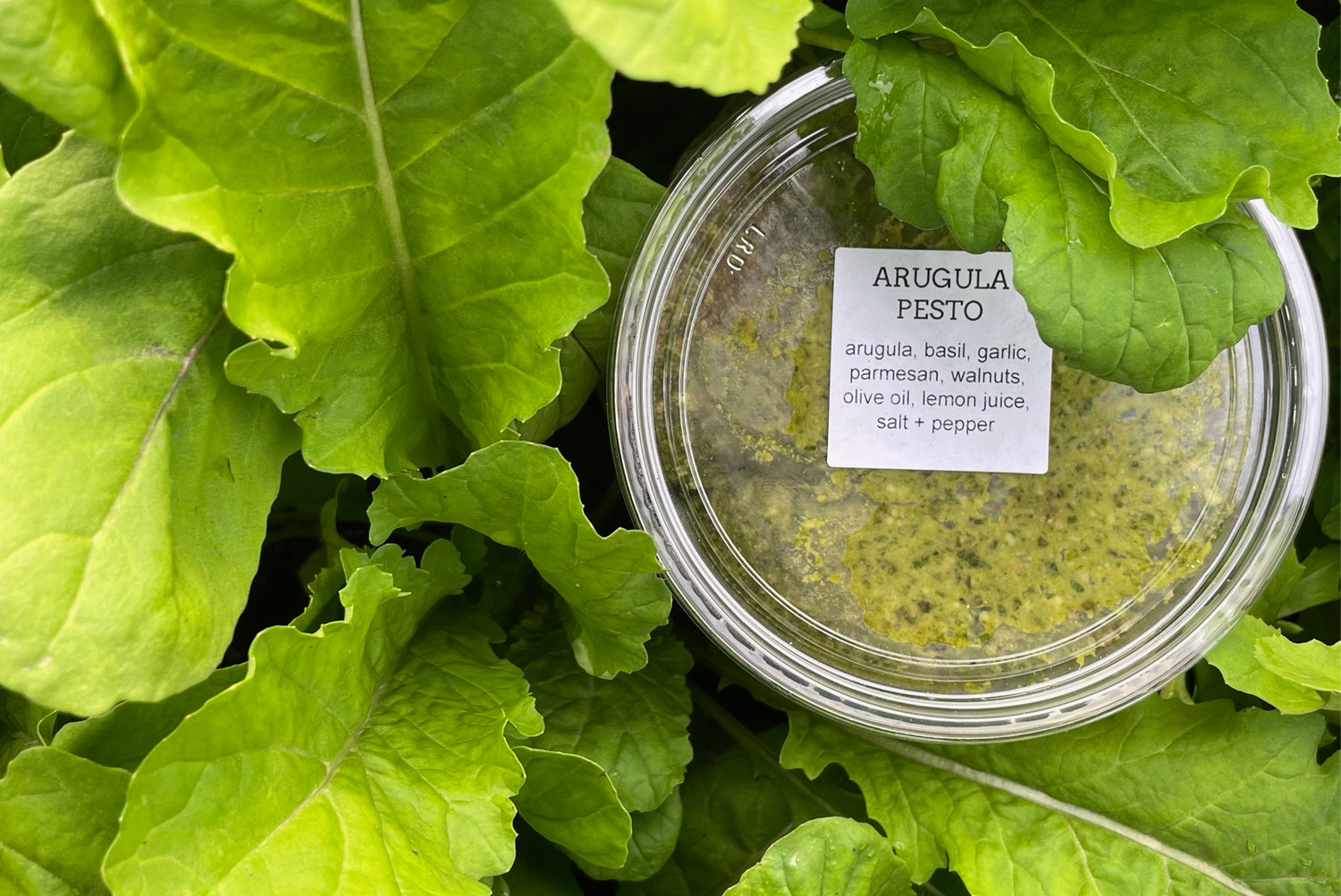 Leafy greens are mixed into light spring pestos with parmesan, lemon, olive oil, and cracked pepper