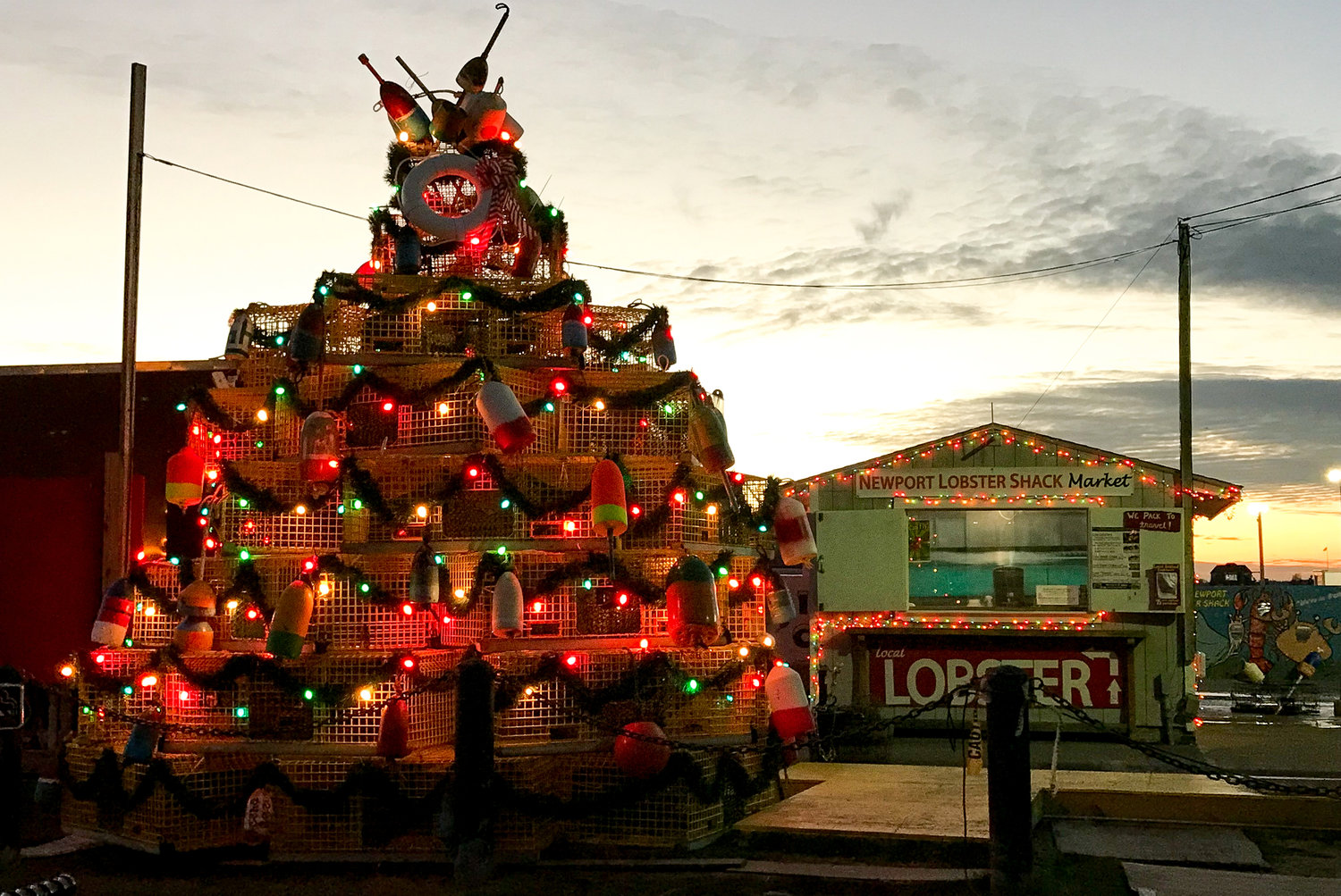 The IG-worthy Lobster Trap Tree, Newport
