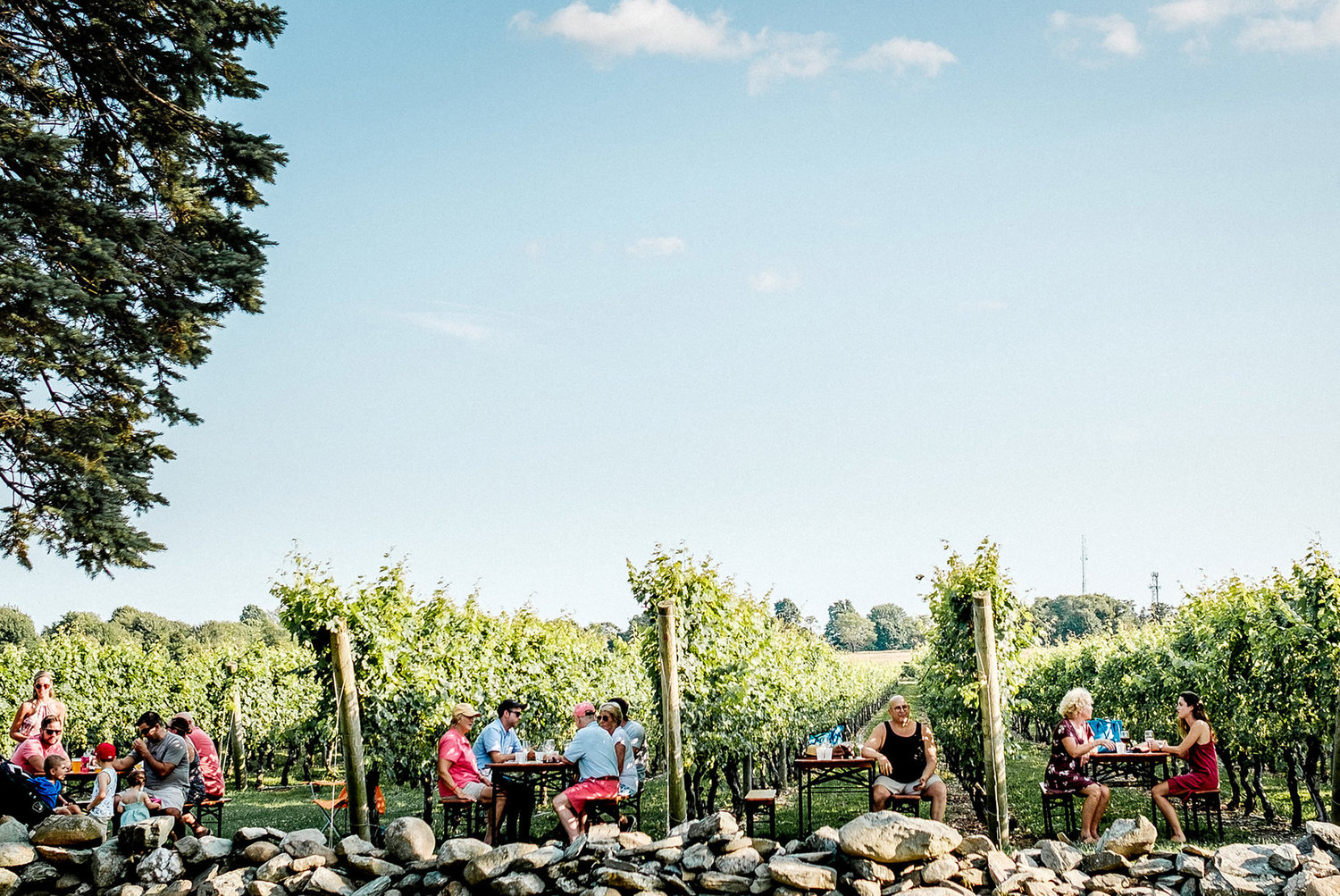 Dining among the vines at Newport Vineyards