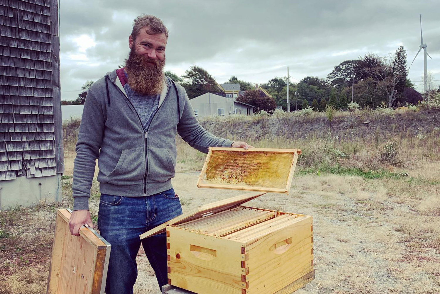 Collecting honey for craft beer flavors